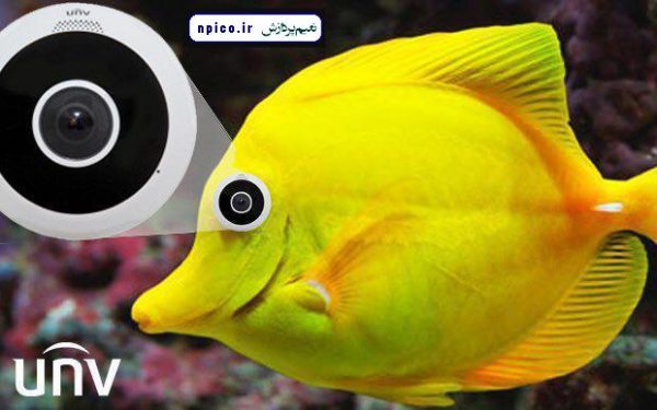 پخش و فروش عمده دوربین مداربسته فیش آی FISH EYE نعیم پردازش npico.ir دوربین fisheye